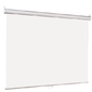 Lumien Eco Picture [LEP-100109] Настенный экран  203х203см  (рабочая область 195х195 см) Matte White восьмигранный корпус,  возможность потолочн. / настенного крепления,  уровень в комплекте,  1:1  (треуголь