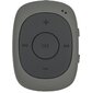 Плеер Flash Digma C2L 4Gb серый FM clip