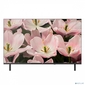 BQ 32F34B Black