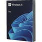 Операционная система Microsoft Windows Pro FPP 11 64-bit Eng USB  (HAV-00162)