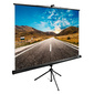 Экран Cactus 160x160см TriExpert CS-PSTE-160x160-BK 1:1 напольный рулонный