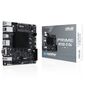 Материнская плата с ЦПУ ASUS PRIME N100I-D D4-CSM /  / N100, USB3.2 GEN 2, MB