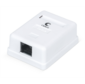 Cabeus WS-8P8C-Cat.5e-1 Розетка компьютерная RJ-45,  категория 5e,  одинарная,  внешняя,  Dual IDC