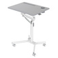 Стол для ноутбука Cactus VM-FDS101B столешница МДФ серый 70x52x106см  (CS-FDS101WGY)
