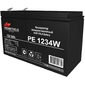 Prometheus Energy PE 1234 W  (12V 9Ah) аккумулятор свинцово-кислотный {срок службы 10 лет}