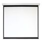 Экран 213x213см Digis Electra-F DSEF-1107 1:1 настенно-потолочный рулонный  (моторизованный привод)