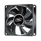 DeepCool Xfan d80,  80X80X25mm,  Hydro,  1800RPM