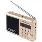 Perfeo мини-аудио Sound Ranger,  УКВ+ FM,  MP3 USB / TF,  USB-audio,  BL-5C 1000mAh,  шамп.золот SV922AU