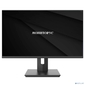 LCD Мониторус HS 2400  (WD2400-K-VHPI-AS175Q) {23.8", 1920x1080, 100Гц, IPS, 16:9, 5мс, VGA, HDMI, DP, 1000:1, 178 / 178,  250cd,  Динамики,  регулировка наклона,  Внутренний,  Реестр МПТ}