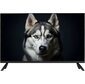Телевизор Topdevice 32" / FHD / VA / Smart WildRed / 1-8 ГБ / Wi-Fi 2.4 ГГц / 60 Гц / черный  (TDWC32BF2110V)
