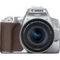 Зеркальный Фотоаппарат Canon EOS 250D серебристый 24.2Mpix EF-S 18-55mm f / 1:4-5.6 IS STM 3" 4K Full HD SDXC Li-ion