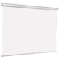 Lumien Eco Picture [LEP-100110] Настенный экран  220х220см  (рабочая область 214х214 см) Matte White восьмигранный корпус,  возможность потолочн. / настенного крепления,  уровень в комплекте,  1:1  (треуголь