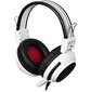 Наушники с микрофоном Oklick HS-G300 белый / черный 2.5м мониторы оголовье  (AH-V1W)