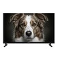 Телевизор Topdevice 32'' / HD / VA / Smart GTV / 1.5-32 ГБ / Wi-Fi 2.4+5 ГГц / BT 5.1 / 60 Гц / черный  (TDWC32BH5260V)