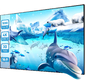 Экран на раме Cactus 127x224см Alr Expert CS-PSALRE-224X127-MM магнитное крепление 16:9 настенный натяжной черный