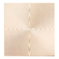 SDRW-08U8M-U / GOLD / G / AS / P2G