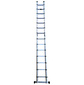 Лестница Alumet телескопическая,  2-х секционная алюминий 14ступ. H4.4м макс.нагр.:150кг  (DTLH 2.2)