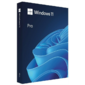 Microsoft Windows 11 Pro 64Bit English+Multi-Languange 1pk DSP OEI DVD