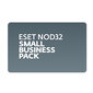 Ключ активации Eset NOD32 SMALL Business Pack NOD32-SBP-NS (KEY)-1-20