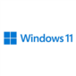 Microsoft Windows 11 Pro 64Bit Eng Intl 1pk DSP OEI DVD  (FQC-10528)