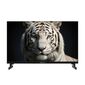 Телевизор Topdevice 24'' TDWC24BH5260V HD / IPS / Smart GTV / 1.5-32 ГБ / Wi-Fi 2.4+5 ГГц / BT 5.1 / 60 Гц / черный