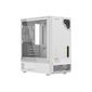 Корпус RAMS 1.0 (White)-Type C