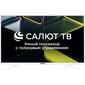 Телевизор LCD 28" SALUT SMART 28LH5011T ASANO