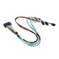 2x OcuLink v 1.0 to 2x PCIe SFF-8639 w /  Power,  55 / 70CM,  32 / 2