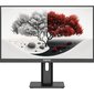 Монитор RDW Computers 23.8" 2401K черный IPS 4ms 16:9 HDMI M / M матовая HAS Piv 1000:1 250.300cd 178гр / 178гр 1920x1080 100Hz VGA DP 1.7кг  (RUS)