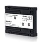 Твердотельный накопитель SSD DapuStor NVMe R5301, GEN4, U.2, 1.6T