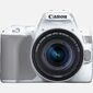 Зеркальный Фотоаппарат Canon EOS 250D белый 24.2Mpix EF-S 18-55mm f / 1:4-5.6 IS STM 3" 4K Full HD SDXC Li-ion