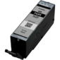 Картридж струйный Canon PGI-480 PGBK 2077C001 черный для Canon Pixma TS5140 / 6140 / 8140 / 8540