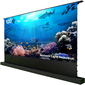 Экран Cactus 148x263см FloorRising CS-PSFRALR-263X148 16:9 напольный рулонный черный  (моторизованный привод)