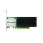 Сетевой адаптер PCIEX16 DUALPORT 100G LRES1046PF-2QSFP28 LR-LINK