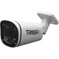 Видеокамера IP Trassir TR-D2123IR6 2.7-13.5мм цветная