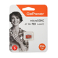 Карта памяти microSD GoPower 256GB Class10 UHS-I  (U3) 100 МБ / сек V30 без адаптера
