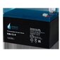 Battery Parus Electro HM-12-9,  standard series HM-12-9,  voltage 12V,  capacity 9Ah  (discharge 20 hours),  max. discharge current  (5sec) 135A,  max. charge current 3.6A,  lead-acid type AGM,  terminals F2,  LxWxH 151x65x94mm.,  total height with terminals 100mm.,  weight 2.65kg.,  service life 6 years.