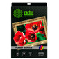 Cactus CS-СA326010 Холст A3 / 300г / м2 / 10л. / белый для струйной печати