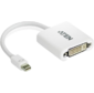 ATEN Mini DisplayPort (M) to DVI-D (F) Cable