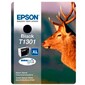 Картридж  EPSON T1301  (black) для B42WD черный