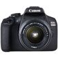 Canon EOS 2000D KIT Зеркальный фотоаппарат,  24Mpix,  с объективом 18-55mm f / 3.5-5.6 IS II,  1080p,  Full HD,  3",  SDXC,  Li-ion,  черный
