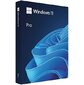 Microsoft Windows 11 Pro 64-bit FPP English International USB