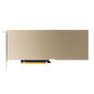 Nvidia Tesla A10,  24GB GDDR6,  PCIe Gen4  (x16),  Full-height,  full-length  (FHFL) 10.5”,  single slot,  Passive,  150W,  OEM