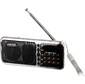Радиоприемник портативный Сигнал РП-226BT черный / серебристый USB microSD