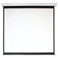 Экран 280x280см Digis Electra-F DSEF-1109 1:1 настенно-потолочный рулонный  (моторизованный привод)