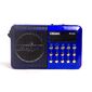 Радиоприемник портативный Сигнал РП-222 черный / синий USB SD