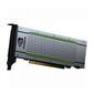 Графический процессор Nvidia Tesla T4  ATX installed,  LP included