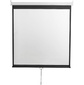 Экран 200x200см Digis Optimal-D DSOD-1105 1:1 настенно-потолочный рулонный