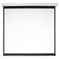 Экран 200x200см Digis Electra-F DSEF-1106 1:1 настенно-потолочный рулонный  (моторизованный привод)